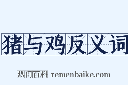 猪与鸡反义词是什么意思的图片